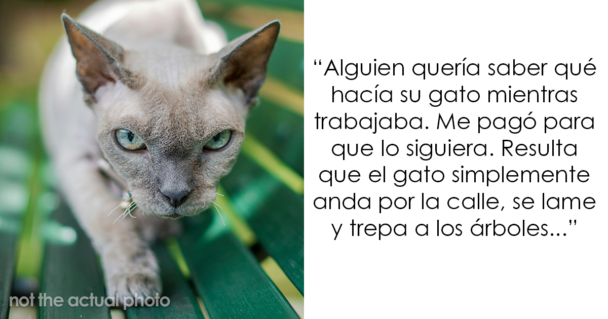 20 Detectives privados que descubrieron cosas inesperadas o extrañas