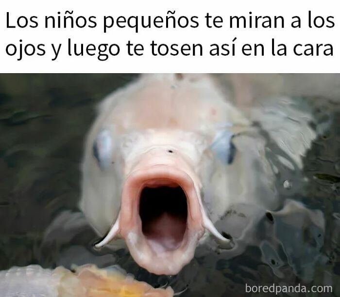 Adorno navideño que parece dedo severado colgado en un árbol, humor entre los memes random para reír rápido.