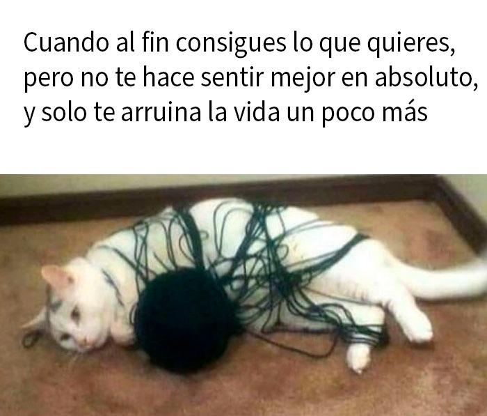 Gato atrapado en ovillo de hilo, ilustrando memes divertidos para distraerse en lugar de enfrentar problemas reales.