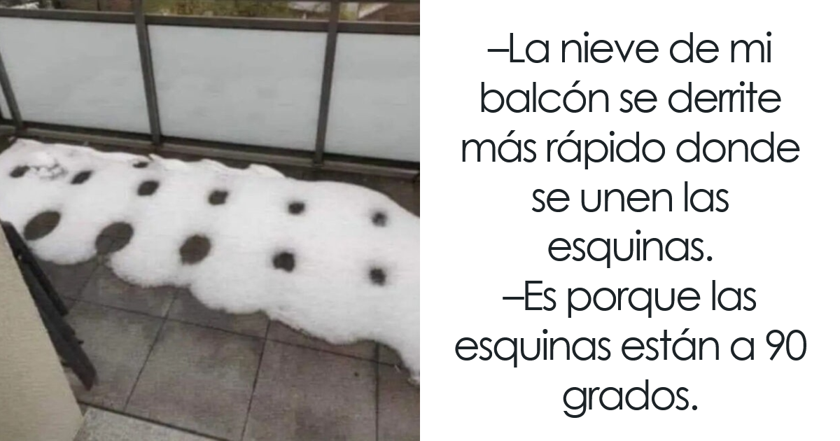 12 publicaciones tan ridículamente tontas que merecían un “voto positivo con rabia”