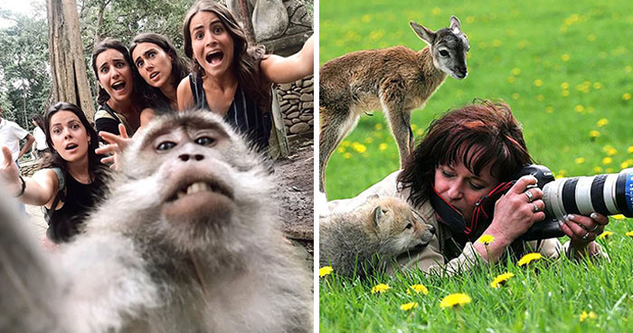 30 fotos tiernas y divertidas de animales que pueden alegrarte el día en un instante