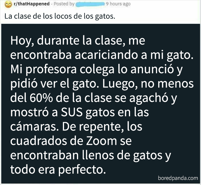 Publicación de Reddit narrando historia verdadera que muchos dudaron, destacando cómo llamaron mentira en línea pero fue real.