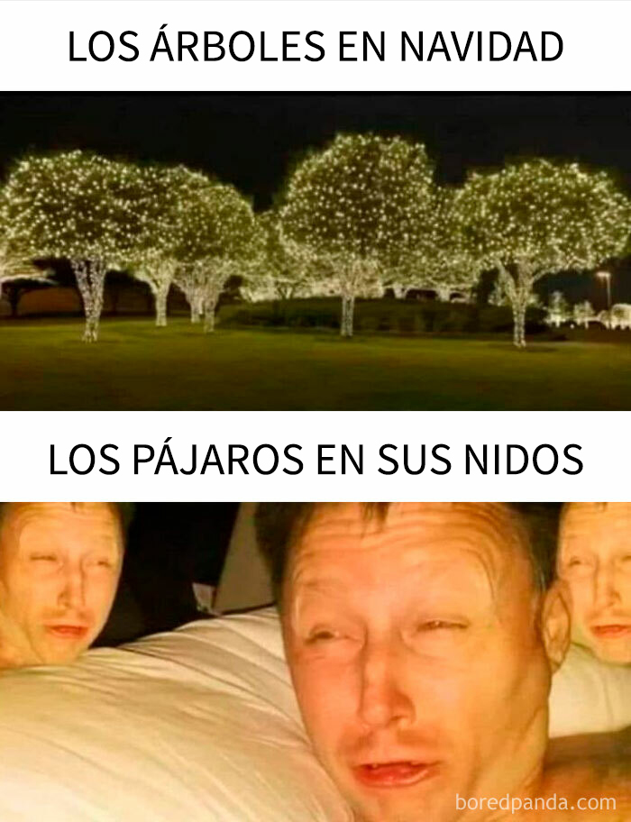 Árboles decorados con luces navideñas y personas con expresiones divertidas para memes de Navidad gracioso.