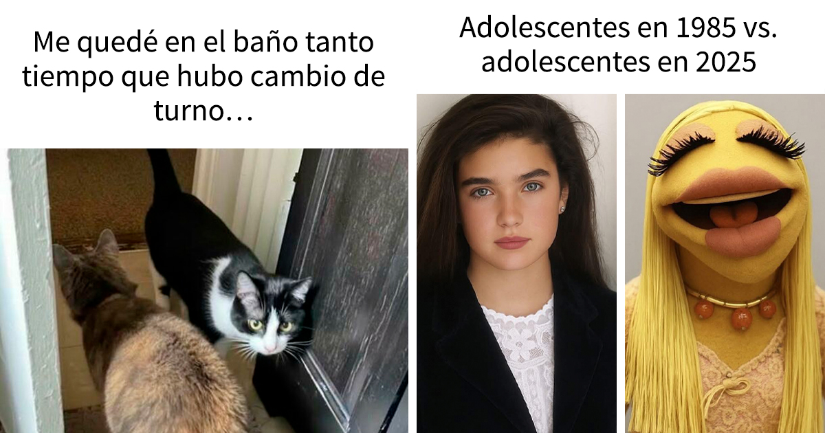 18 memes que les subirán el ánimo al instante