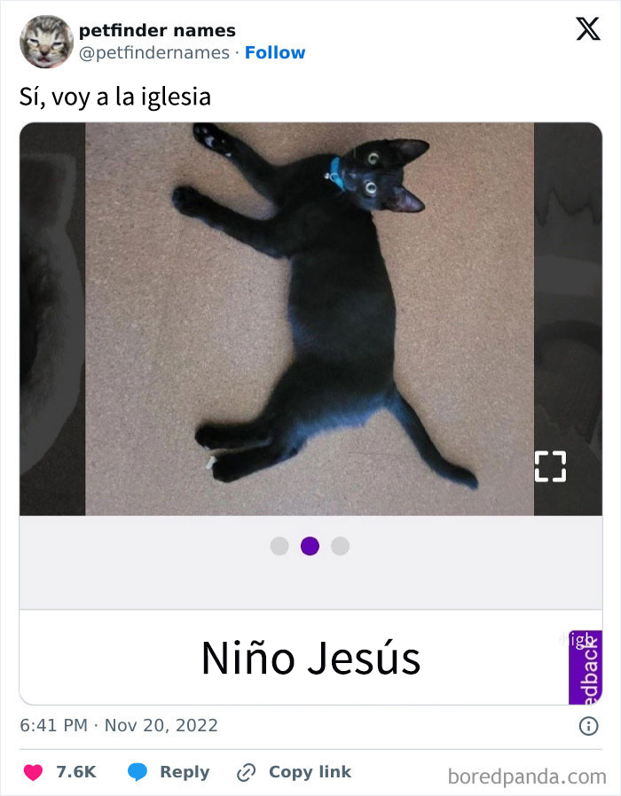 Gato negro llamado Personal Jesus, ejemplo divertido de nombres para mascotas que merecen un premio en creatividad.