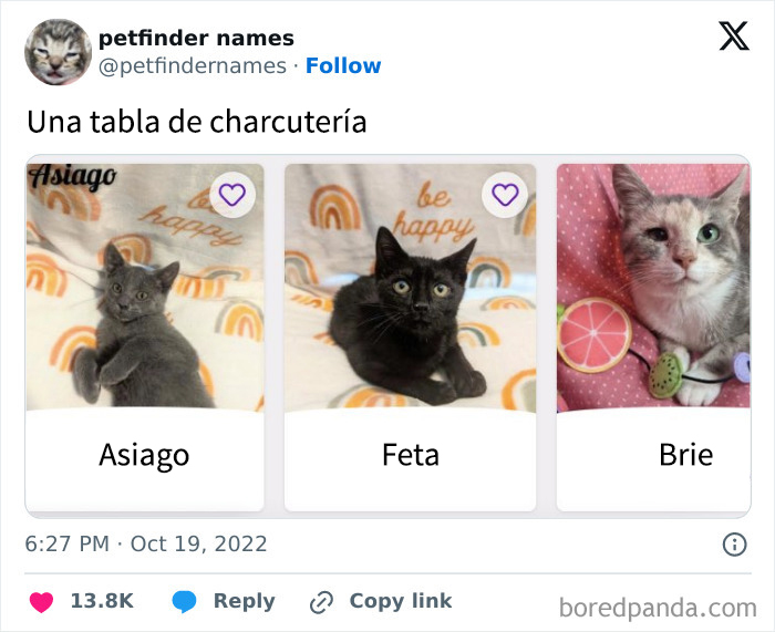 Tres gatos con nombres creativos de mascotas en tarjetas digitales mostrando nombres únicos y adorables.