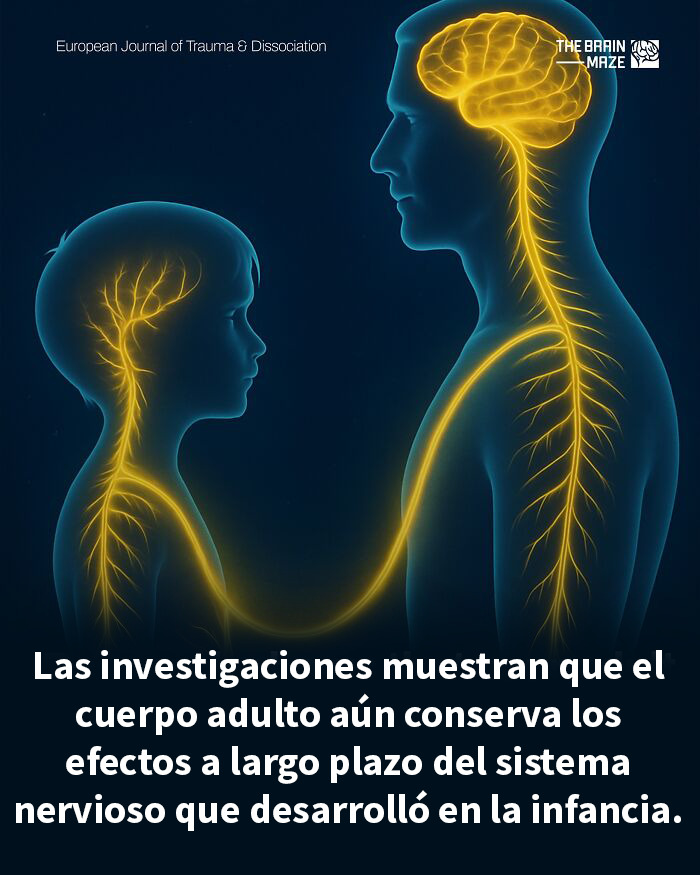 Conexión del sistema nervioso entre mente y cuerpo que destaca hechos interesantes y sorprendentes sobre mente y cuerpo.
