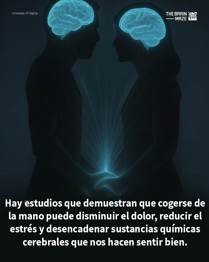 Estudio demuestra que tomarse de las manos reduce el dolor, estrés y activa químicos cerebrales para el bienestar.