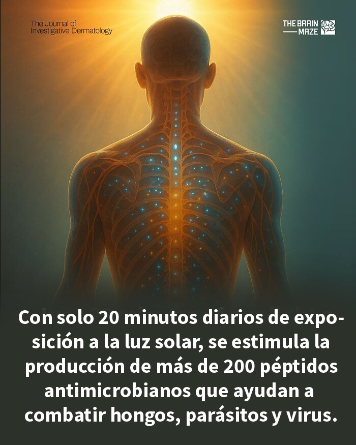 Figura humana con sistema nervioso iluminado, ilustración sobre hechos interesantes y asombrosos del cuerpo y la mente.