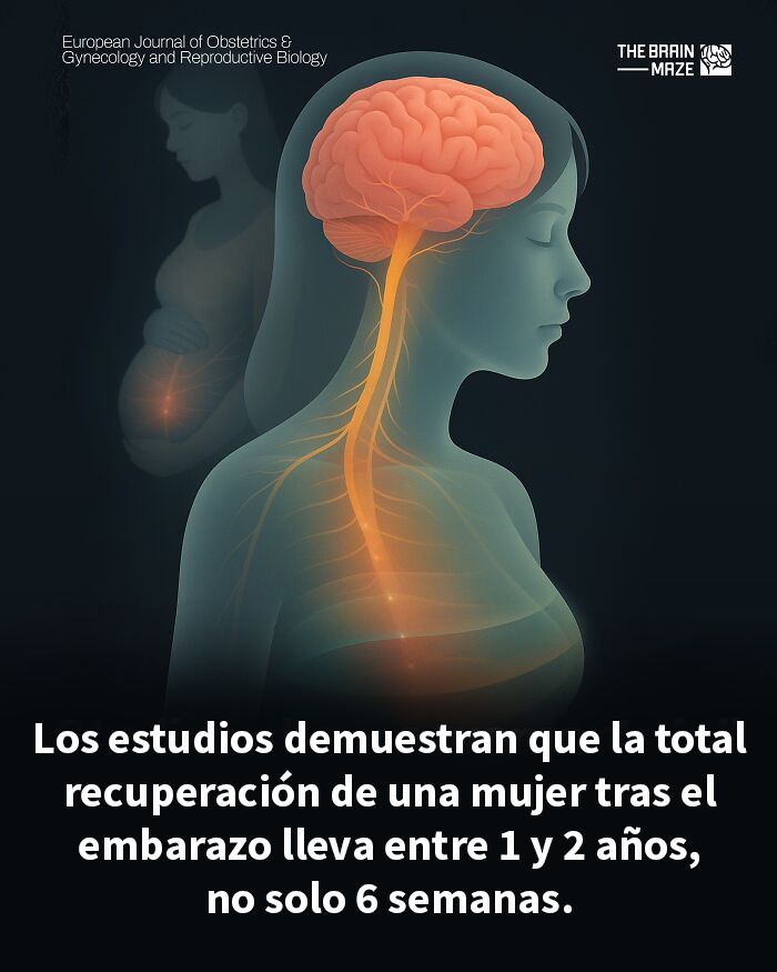 Ilustración que muestra la conexión entre mente y cuerpo en la recuperación completa tras el embarazo.