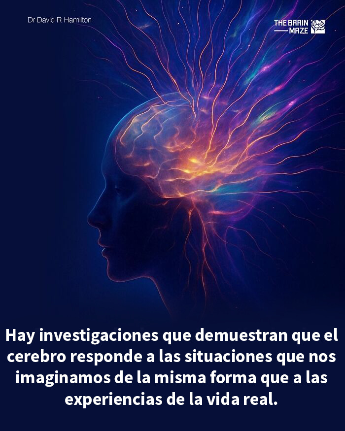 Perfil lateral de una persona con ilustración brillante del cerebro que muestra datos interesantes sobre la mente y el cuerpo.