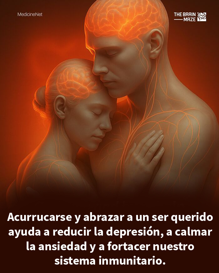 Ilustración de personas abrazándose con sistemas nerviosos y cerebros resaltados, sobre salud del cuerpo y la mente.