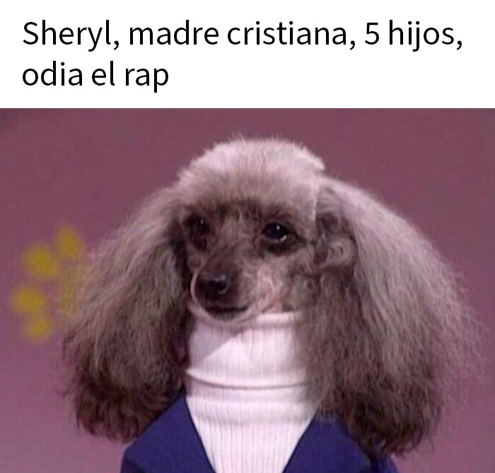 20 Memes de animales tan divertidos como alegres para animarte un poco