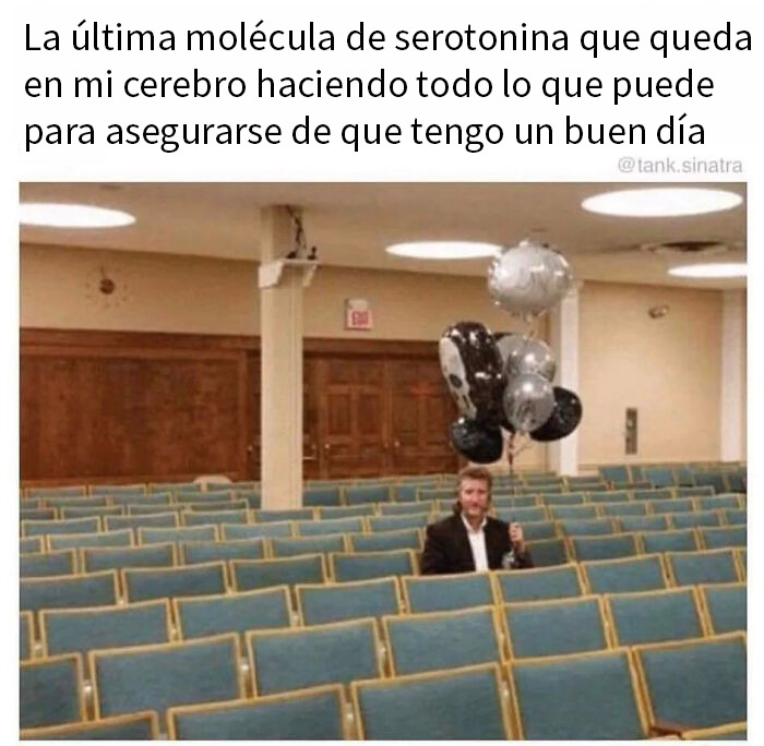 Gato con expresión divertida mostrando humor como mecanismo de afrontamiento en publicaciones hilarantes para alivio emocional.