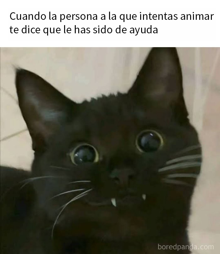 Gato negro con expresión divertida acompañado de texto sobre humor como mecanismo de afrontamiento en publicaciones cómicas.