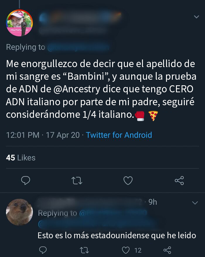 Captura de pantalla de comentarios ignorantes de americanos con debate sobre ADN y herencia italiana en redes sociales.