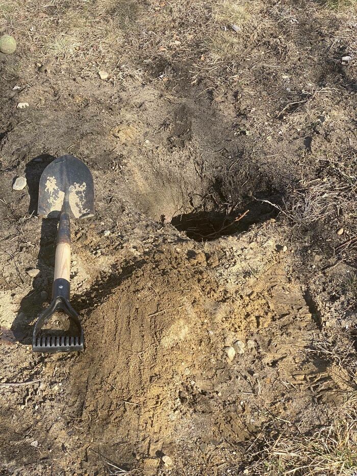 Niño escribiendo oraciones exageradas con respuestas graciosas, un ejemplo de fallos infantiles que hacen reír a adultos.