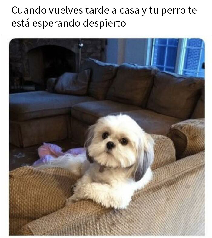 50 Random Memes That Might Make The Day Feel A Bit Lighter