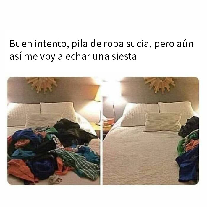 50 Random Memes That Might Make The Day Feel A Bit Lighter