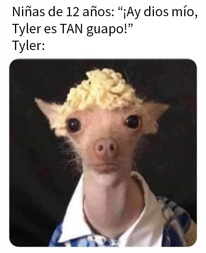 50 Random Memes That Might Make The Day Feel A Bit Lighter