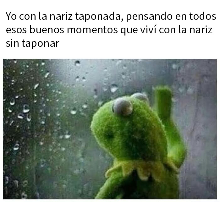 50 Random Memes That Might Make The Day Feel A Bit Lighter