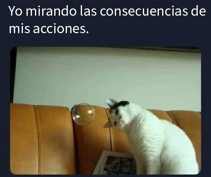 50 Random Memes That Might Make The Day Feel A Bit Lighter