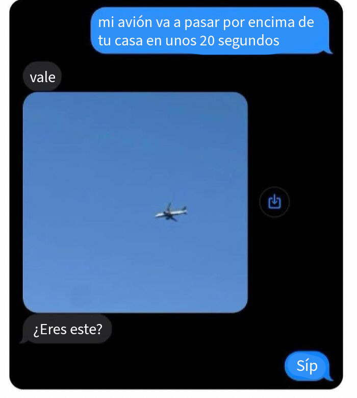 50 Random Memes That Might Make The Day Feel A Bit Lighter