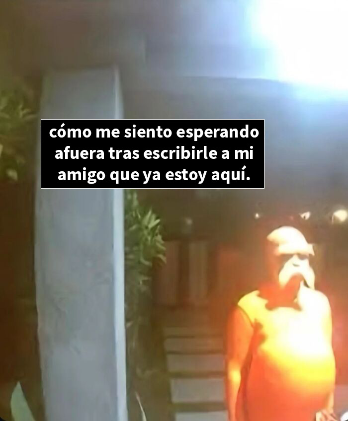 Zorro captado por cámara nocturna con expresión curiosa, una captura divertida para amantes de las screenshots graciosas.