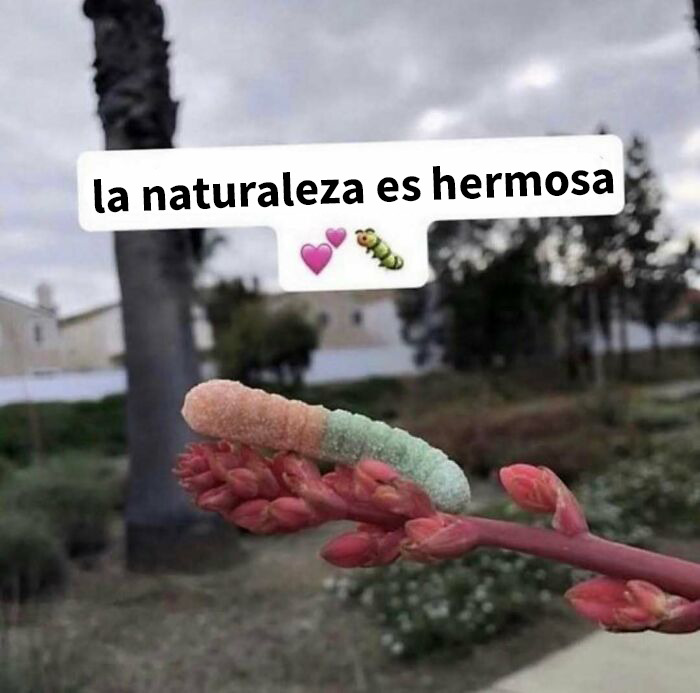 Molino de agua antiguo junto a un río con hojas otoñales, imagen divertida para screenshots graciosos y divertidos.