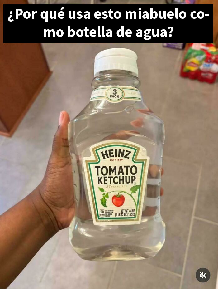 Mosca en un avión, captura divertida que muestra una situación cómica con la palabra clave screenshots funny.