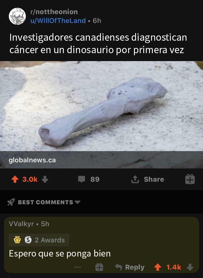 Hueso fósil de dinosaurio sobre superficie arenosa con comentarios ingeniosos de redes sociales.