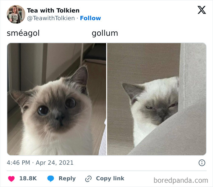 Tuit divertido con memoria de papel higiénico y huevos usados en bromas, parte de memes aleatorios para levantar el ánimo.