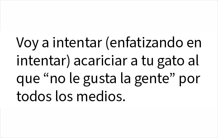 Meme divertido sobre intentar acariciar un gato que no le gusta la gente para levantar ánimo hoy.