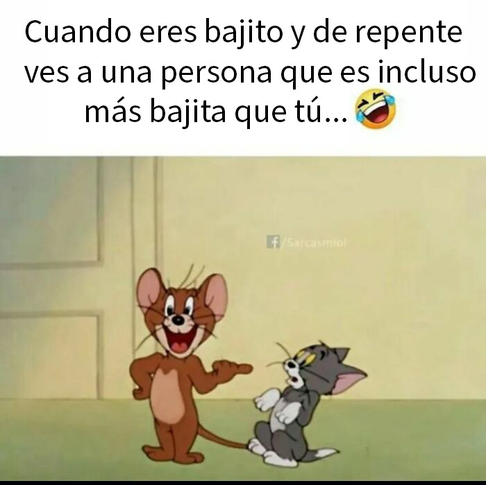 Memes aleatorios divertidos para animar el día con humor sobre situaciones cotidianas y originales en redes sociales.