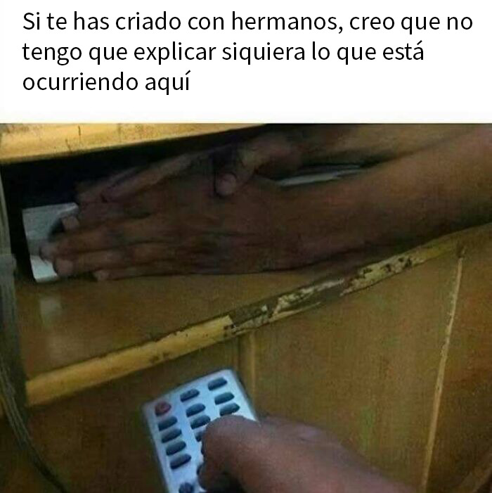 Memes divertidos con imágenes de personas y animales causando situaciones inesperadas que elevan el ánimo al instante.