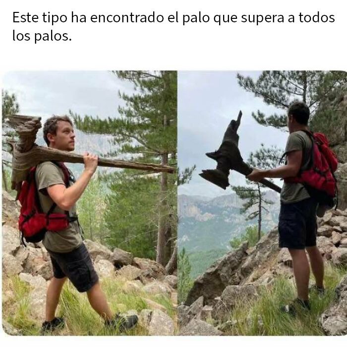 Memes hilarantes con gatos que expresan reacciones cómicas y levantan el ánimo al instante.