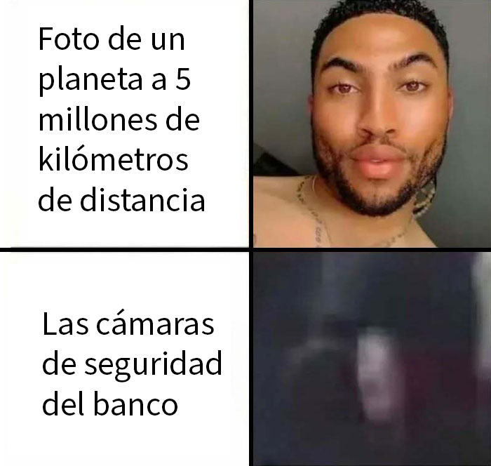 Dibujo humorístico que combina dos animales en un meme divertido para levantar el ánimo al instante con memes hilarantes.