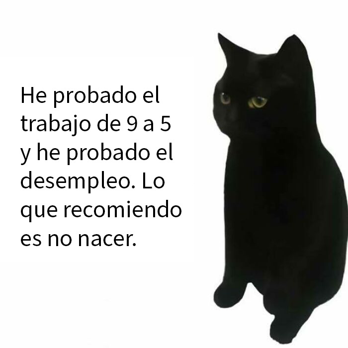 Joven sonriente sosteniendo llaves frente a un coche, ejemplo de memes hilarantes que levantan el ánimo.