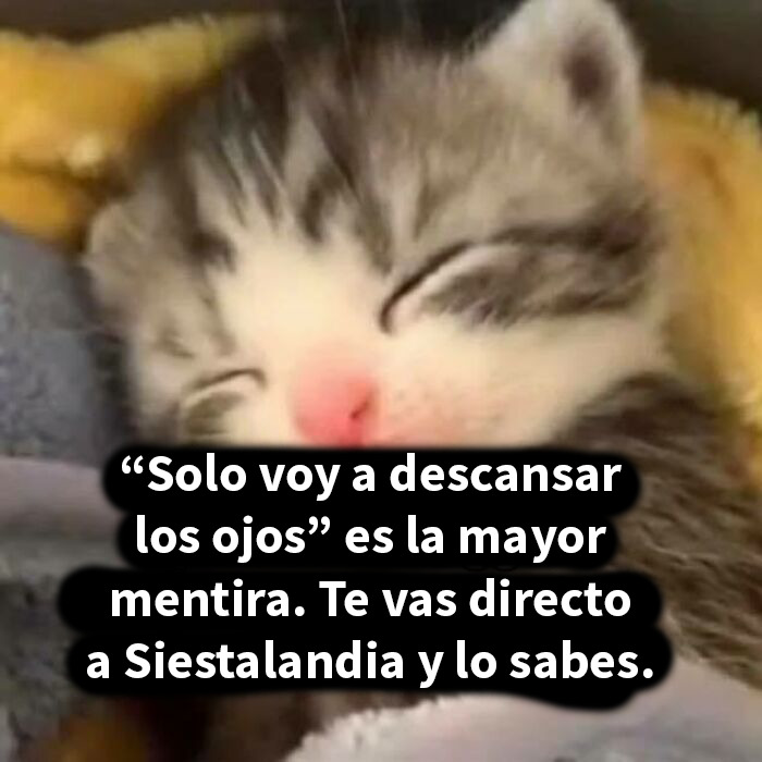 Gatito durmiendo con texto divertido sobre descansar los ojos, perfecto para memes hilarantes que elevan el ánimo.