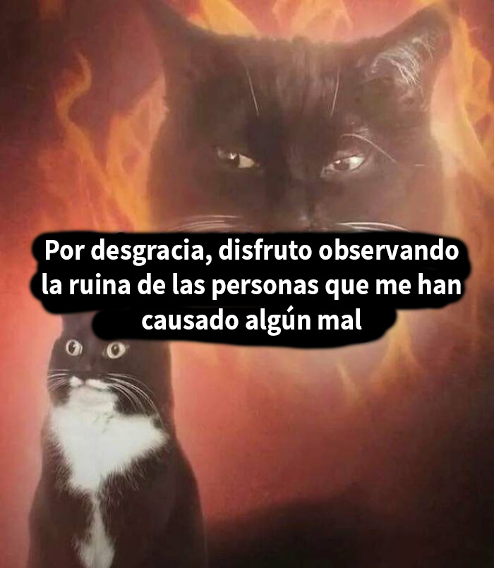 Gato negro con expresión seria, fondo de llamas, meme divertido que mejora el ánimo con humor sarcástico y actitud.