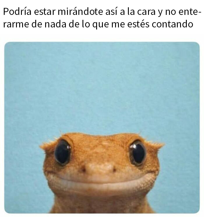 If Everything Is Annoying You Right Now, These 50 Memes Might Help Lighten Your Mood