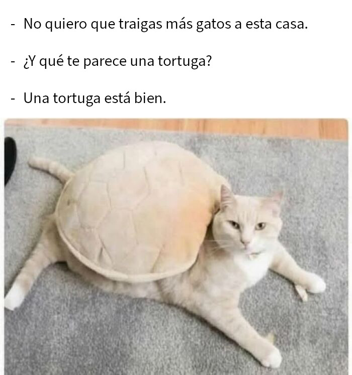 If Everything Is Annoying You Right Now, These 50 Memes Might Help Lighten Your Mood