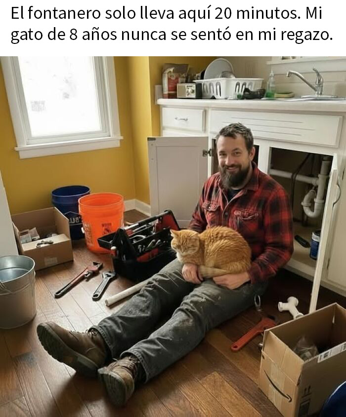 If Everything Is Annoying You Right Now, These 50 Memes Might Help Lighten Your Mood