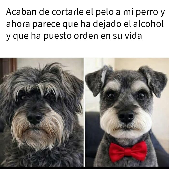 If Everything Is Annoying You Right Now, These 50 Memes Might Help Lighten Your Mood