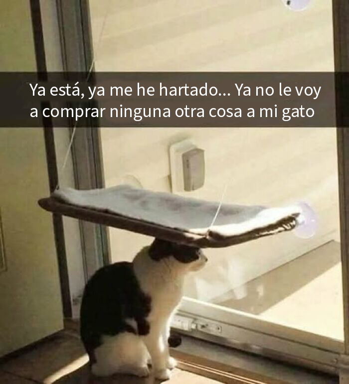 If Everything Is Annoying You Right Now, These 50 Memes Might Help Lighten Your Mood