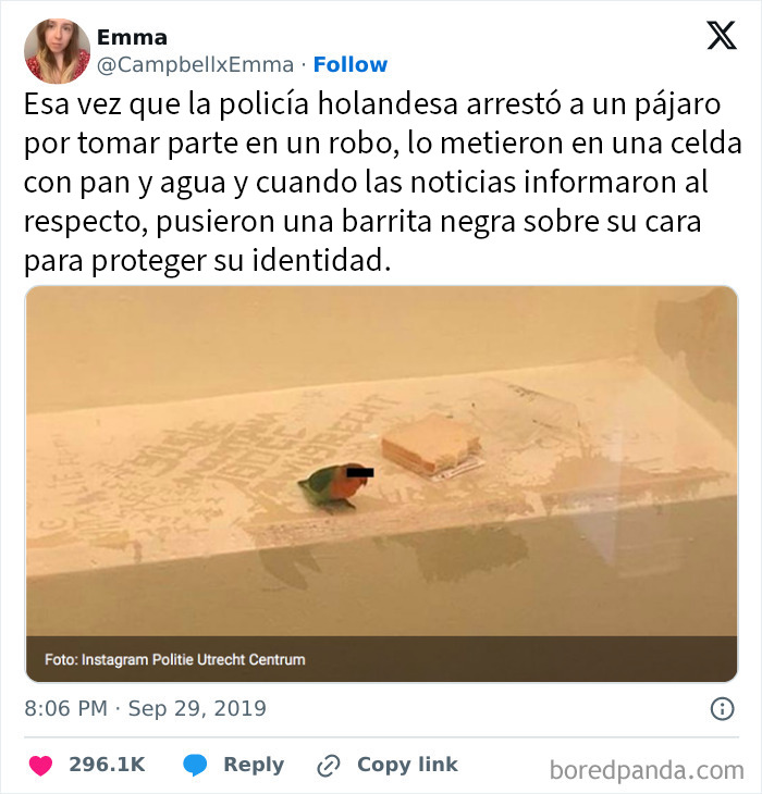 La policía holandesa