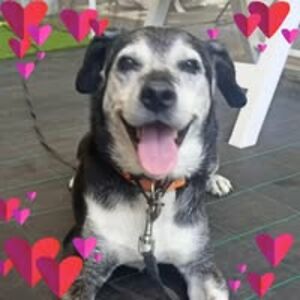 34906686718922551 avatar