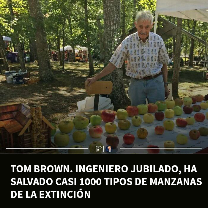 71 Times Dudes Were Absolute Green Flags In The Most Wholesome Way (New Pics)