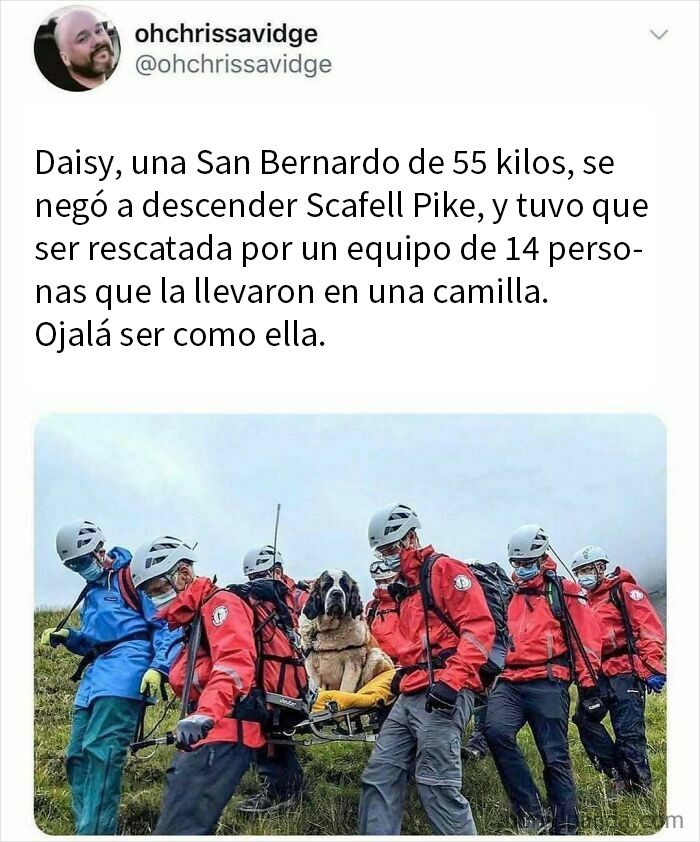 20 Divertidos memes sobre los británicos y su modo de ver la vida