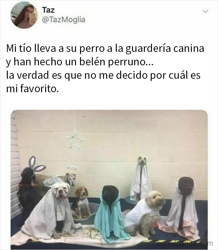 20 Divertidos memes sobre los británicos y su modo de ver la vida